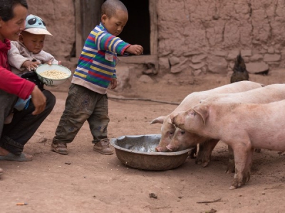 DC Foundation sponsors Hong Kong Heifer