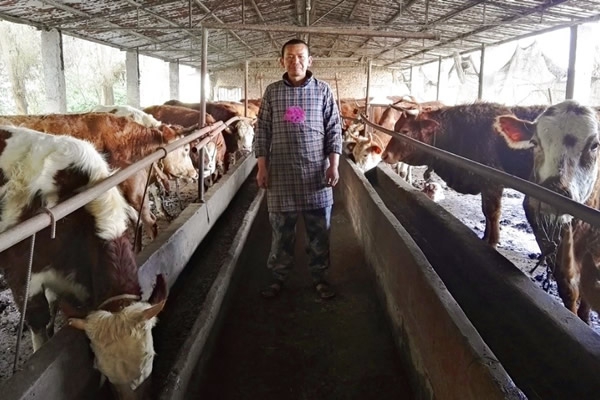 小母牛慈善晚宴2018